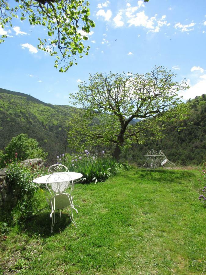 La Ferme De La Condamine Bed & Breakfast Saint-Andre-de-Rosans Ngoại thất bức ảnh